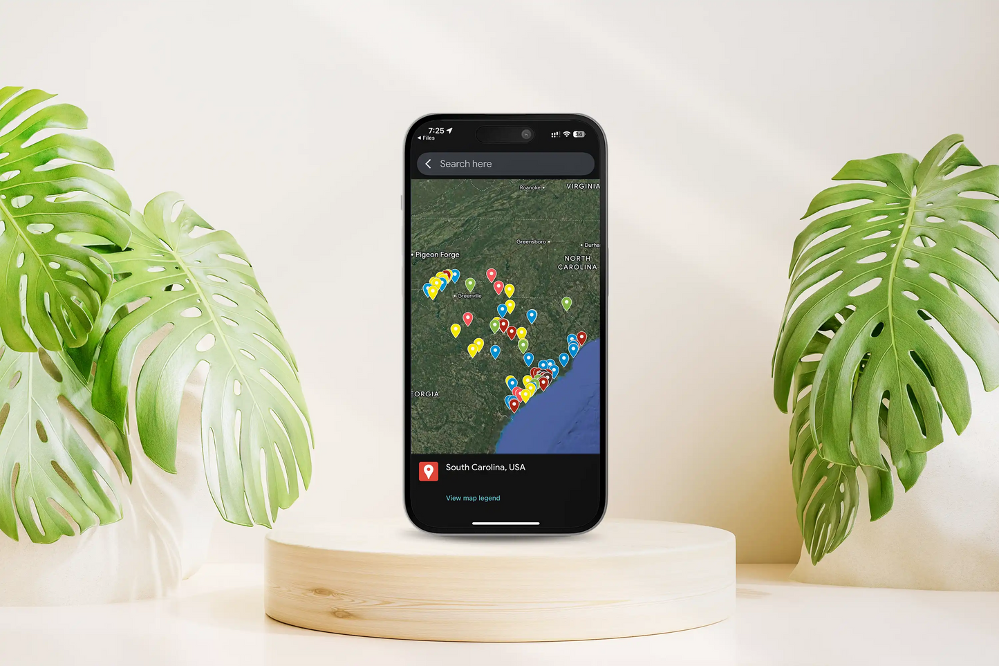 South Carolina Travel Map: 100 Hidden Gems & Must-See Spots