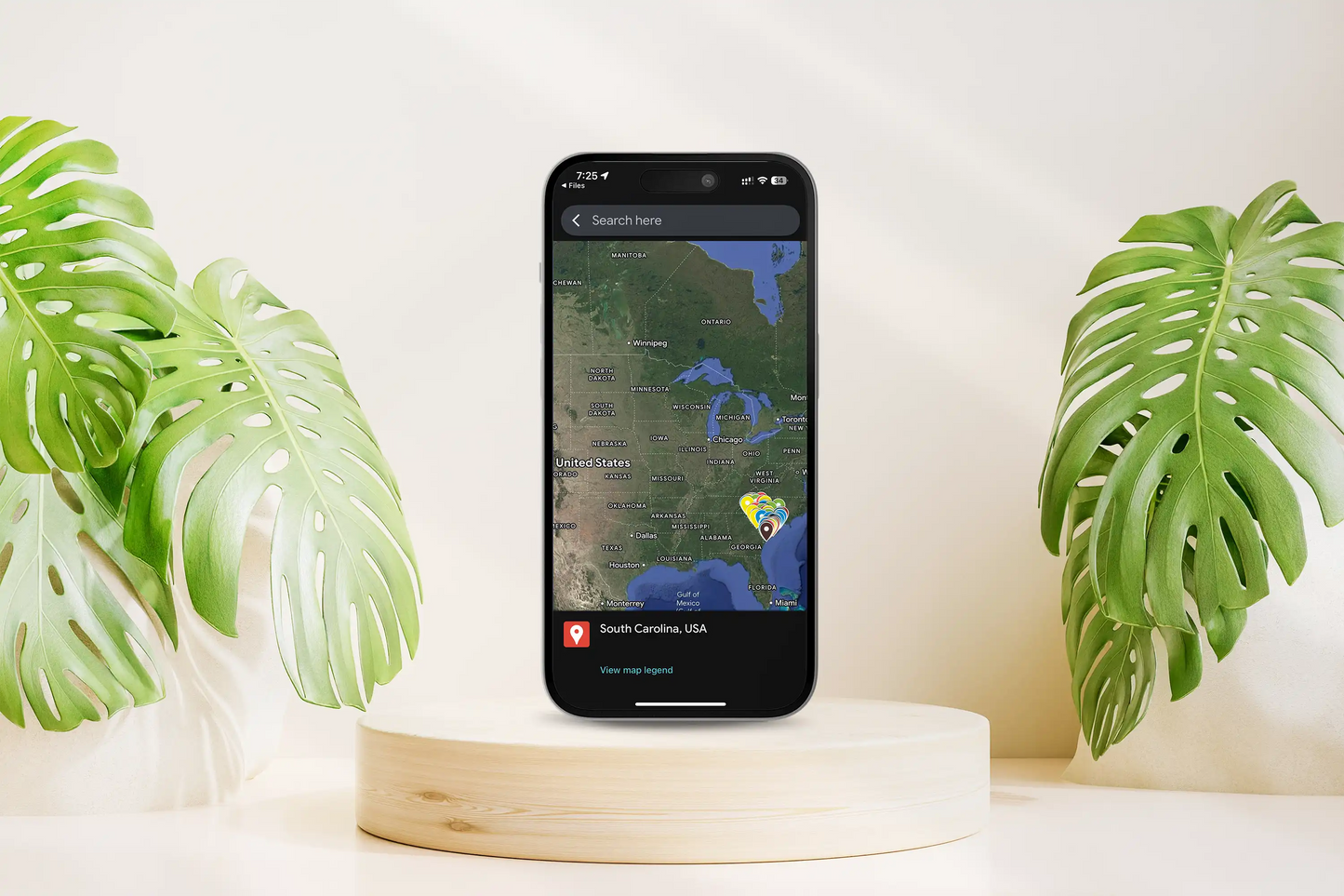 South Carolina Travel Map: 100 Hidden Gems & Must-See Spots