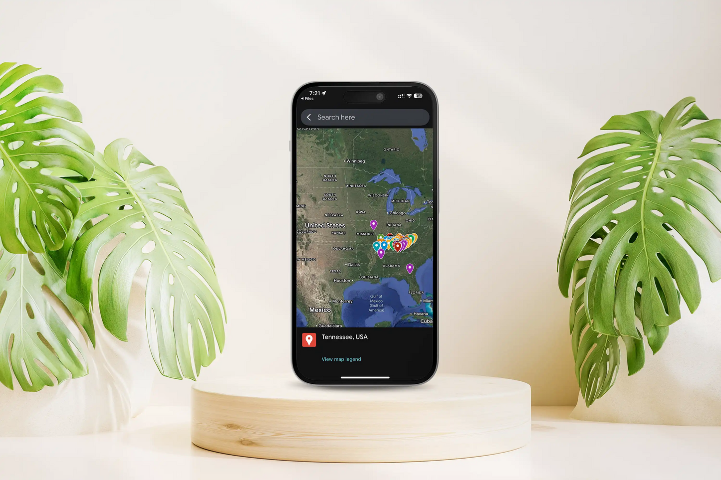 Tennessee Hidden Gems & Must-See Spots Map